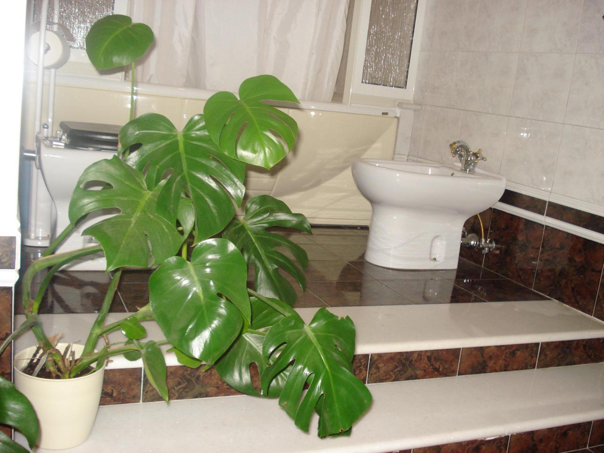 Bed and Breakfast La Mia Casa Per Tutti Cerveteri Exterior foto
