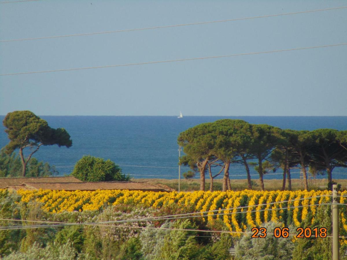 Bed and Breakfast La Mia Casa Per Tutti Cerveteri Exterior foto